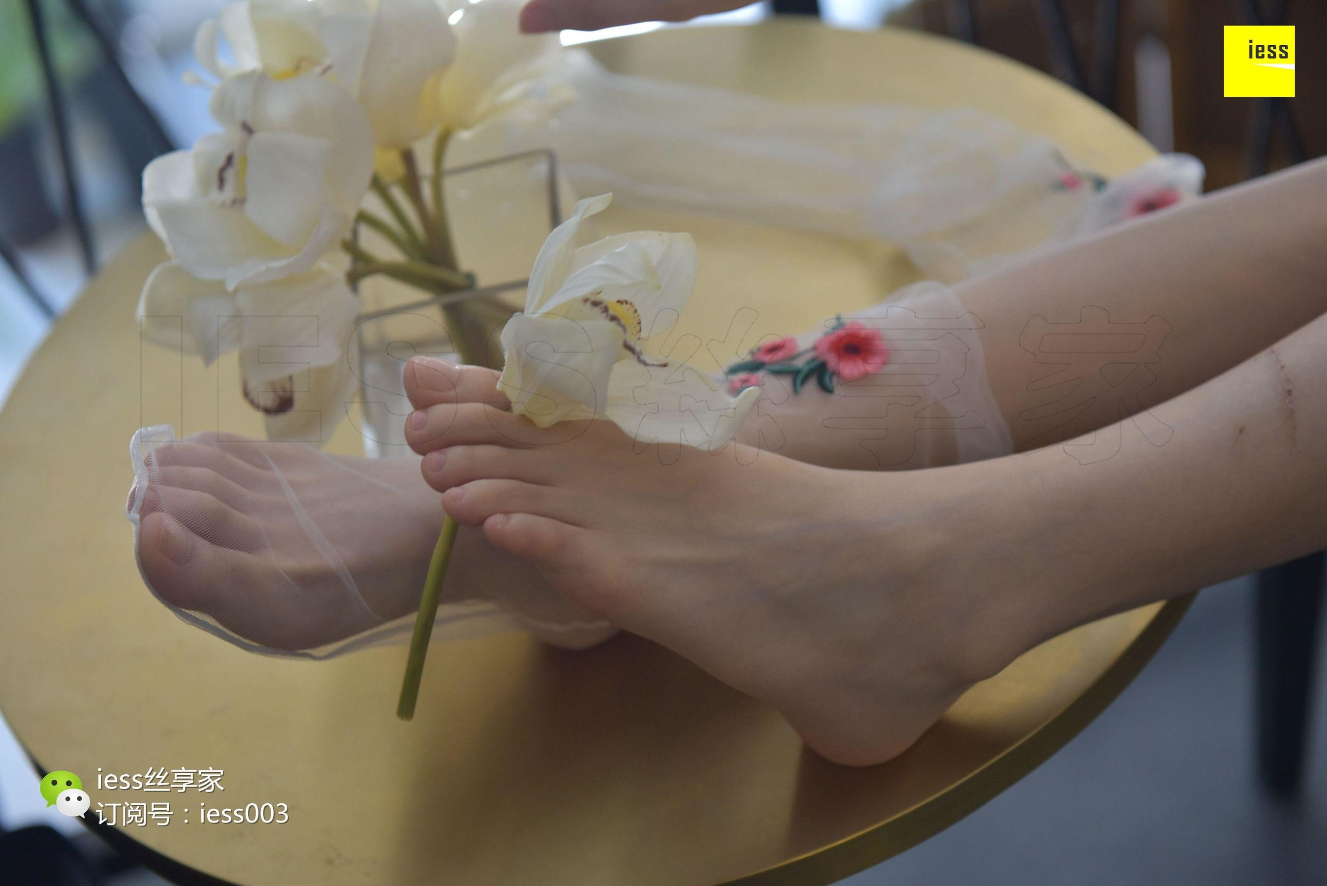 Silkxiang Home 050 Jiajia Jiajia Jiaye IESS is thinking about it