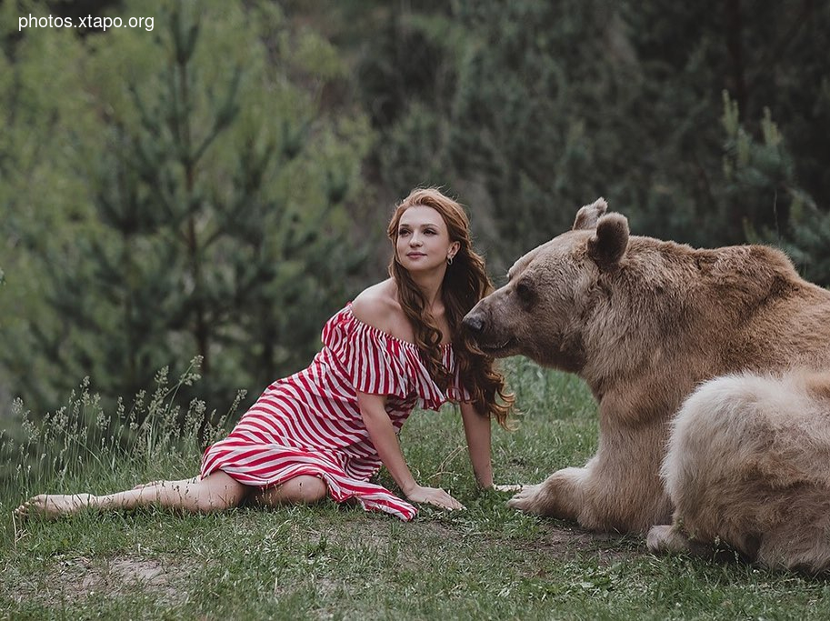 Russia nature, forest and animals by Olga Barantseva