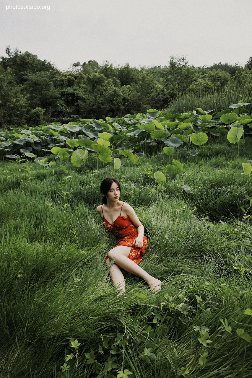 nag snow white 山雪白