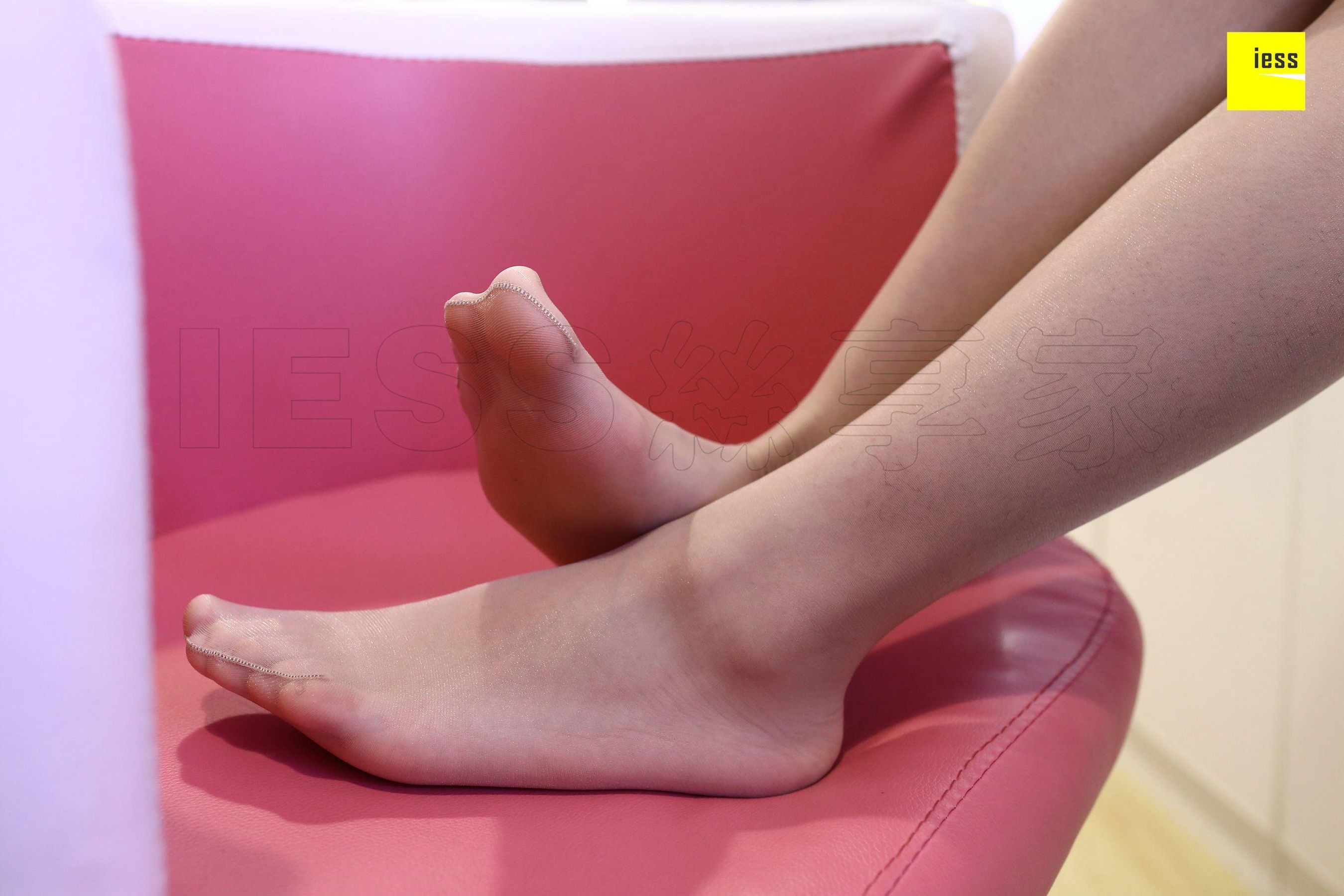 Mu Mu Meow Meow, My Disho Master Different Thoughts to IESS Silkxiang House 215