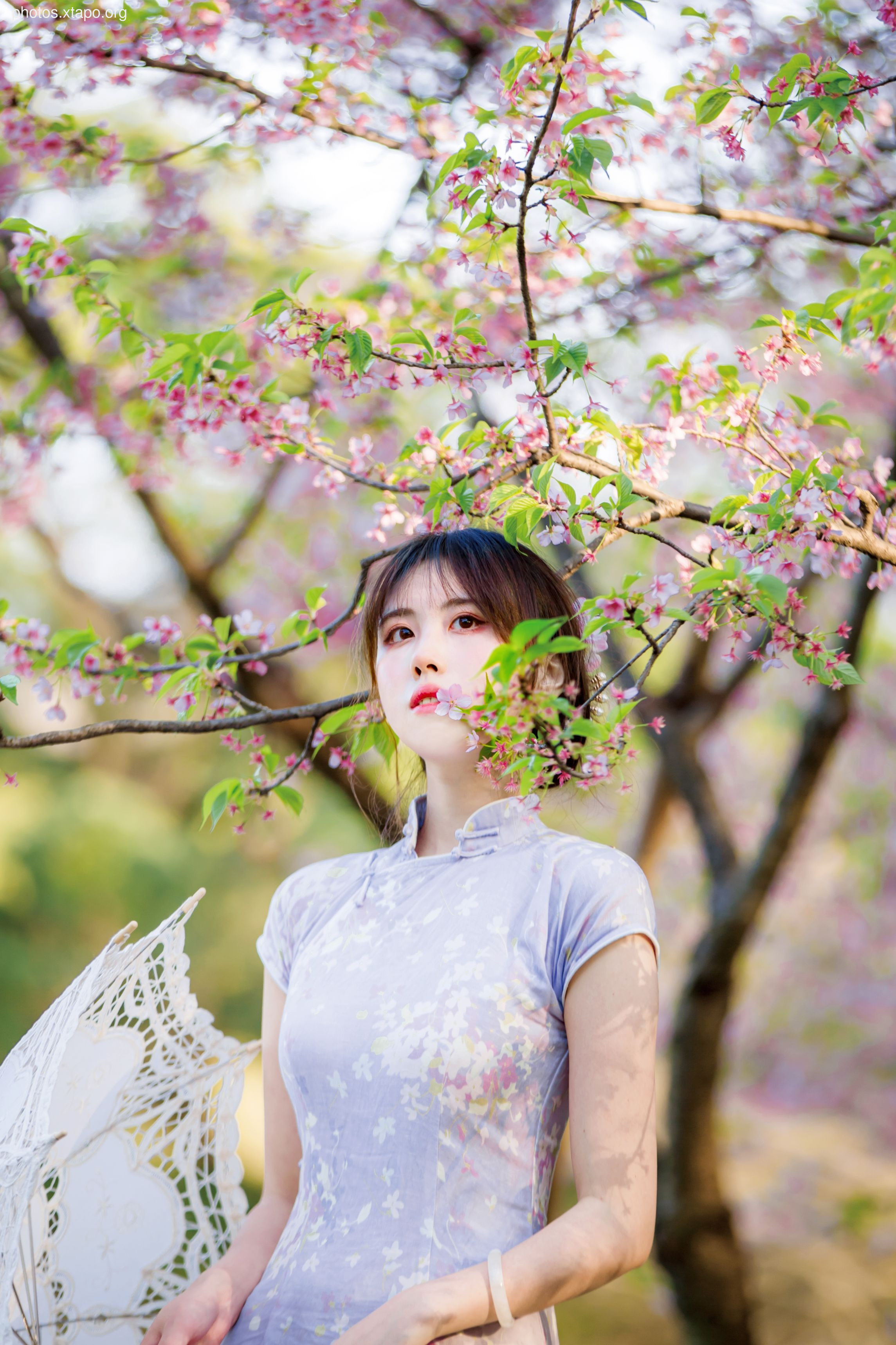 NO.026 Cheongsam 38P-377MB