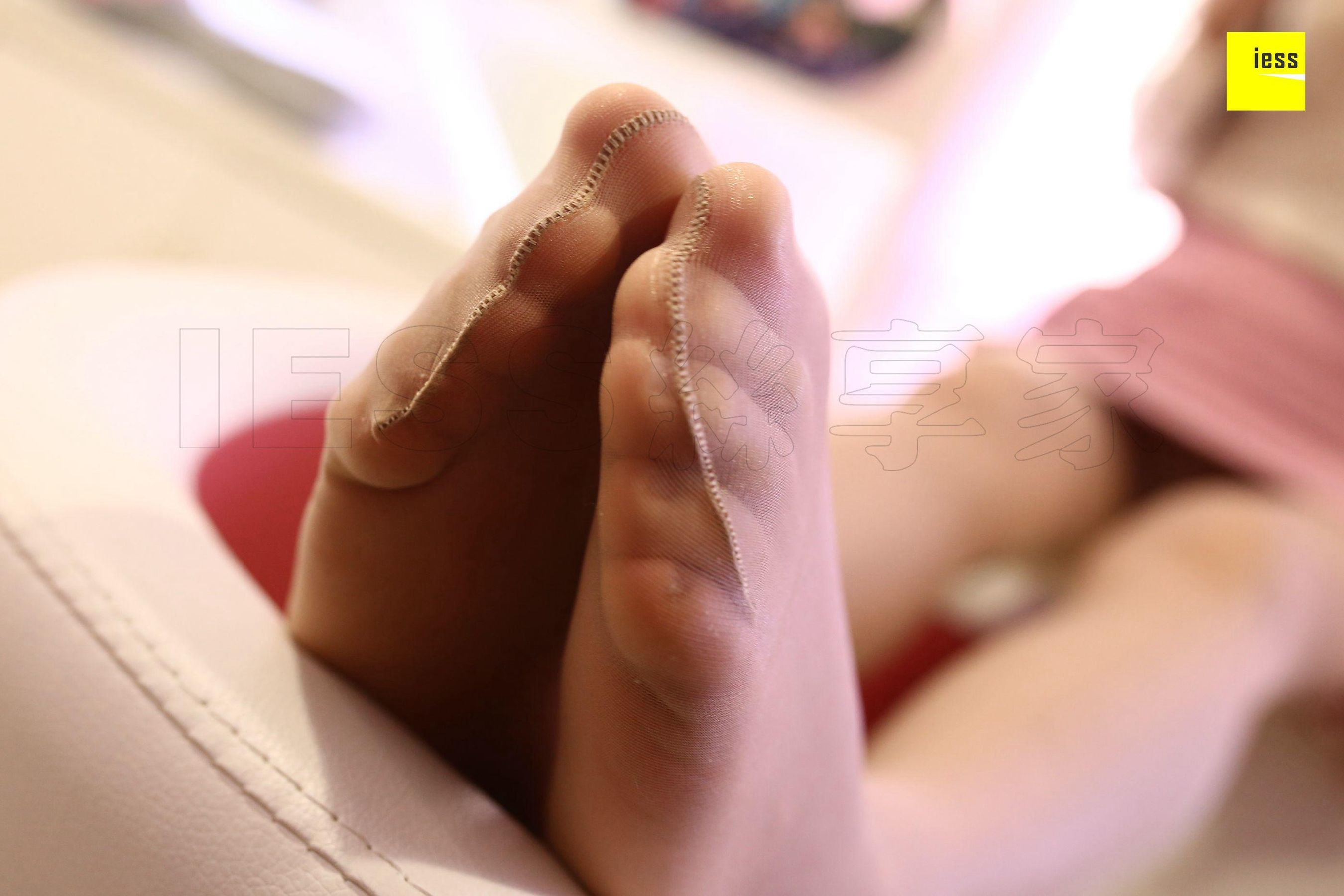 Mu Mu Meow Meow, My Disho Master Different Thoughts to IESS Silkxiang House 215