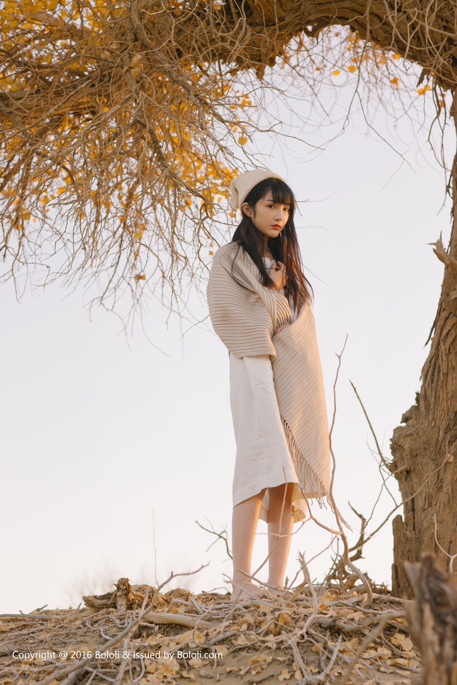 Wang Zhiying Desert Kimoe Que Meng Culture KIM009