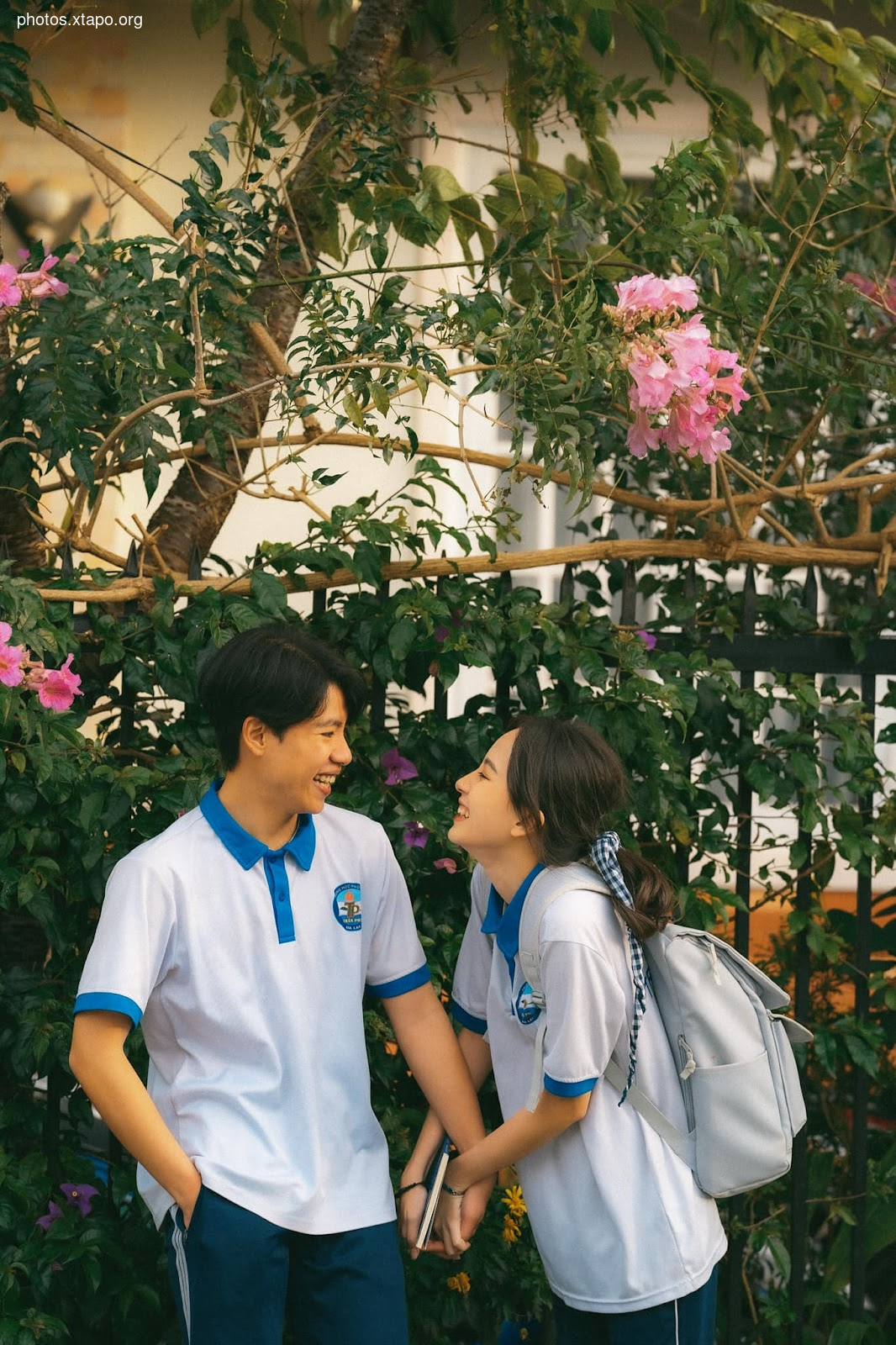 Do not promise to like you a life just promised you for a youth