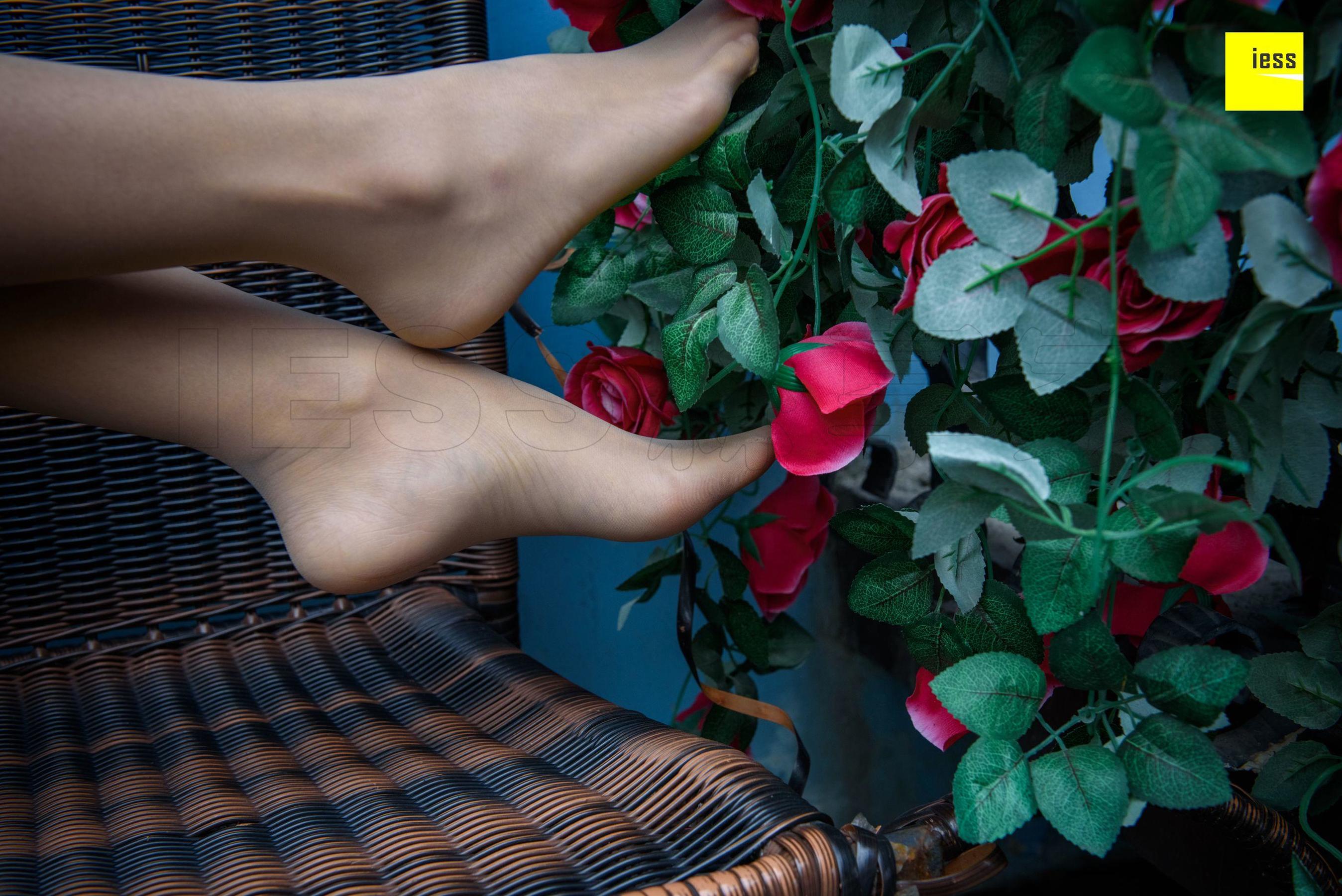 Wan Ping's Rose and Patriarchs Fun Thoughts to IESS Silk Enjoy Home 161