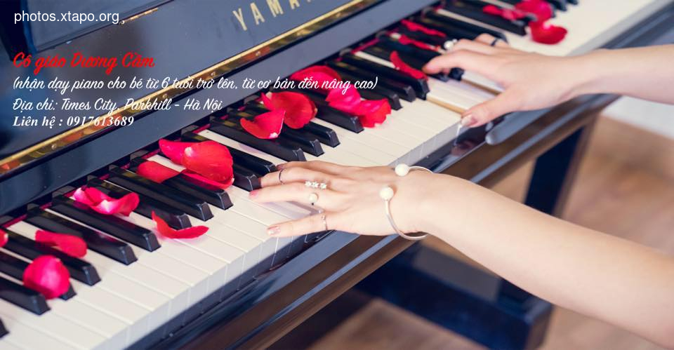 Cô giáo Dương Cầm