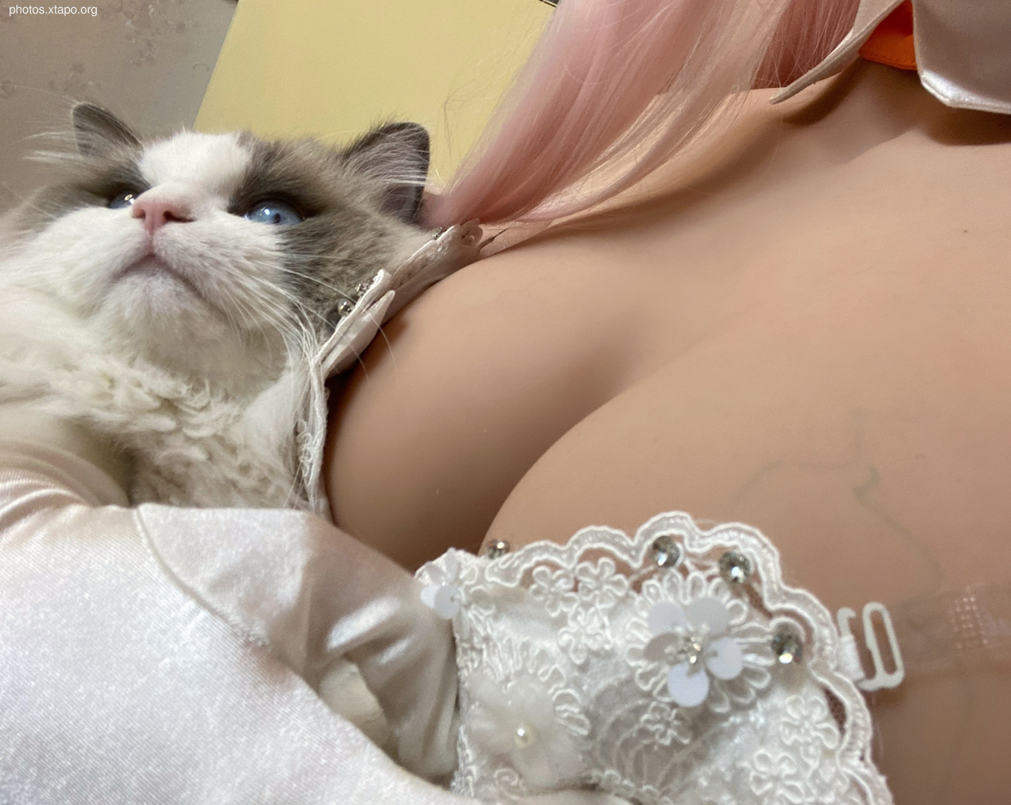 Cheese block -02 Selfie three sets of clothing