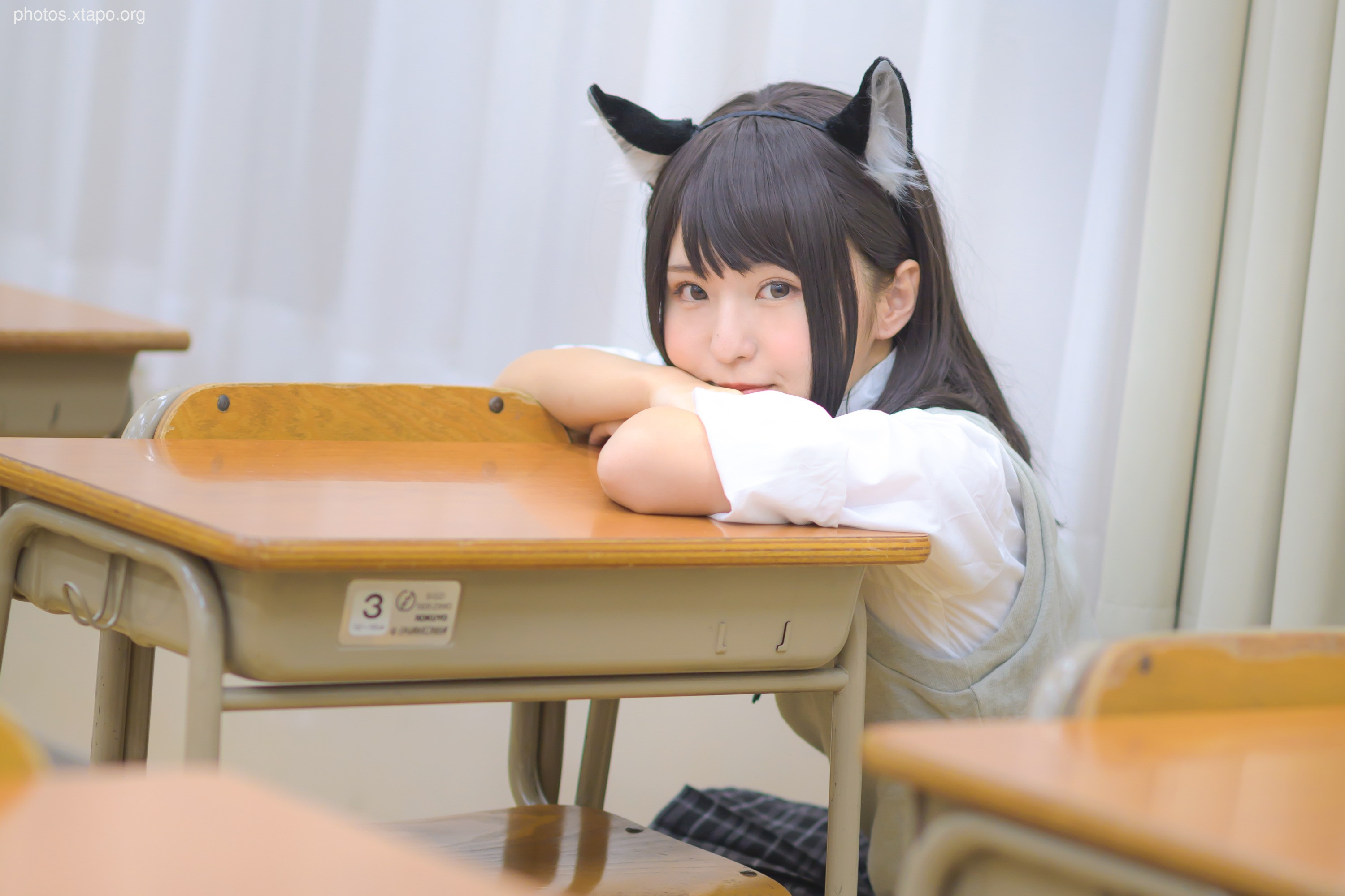 C96 Tofu Factory (Anni Tofu) mamefu Chaton