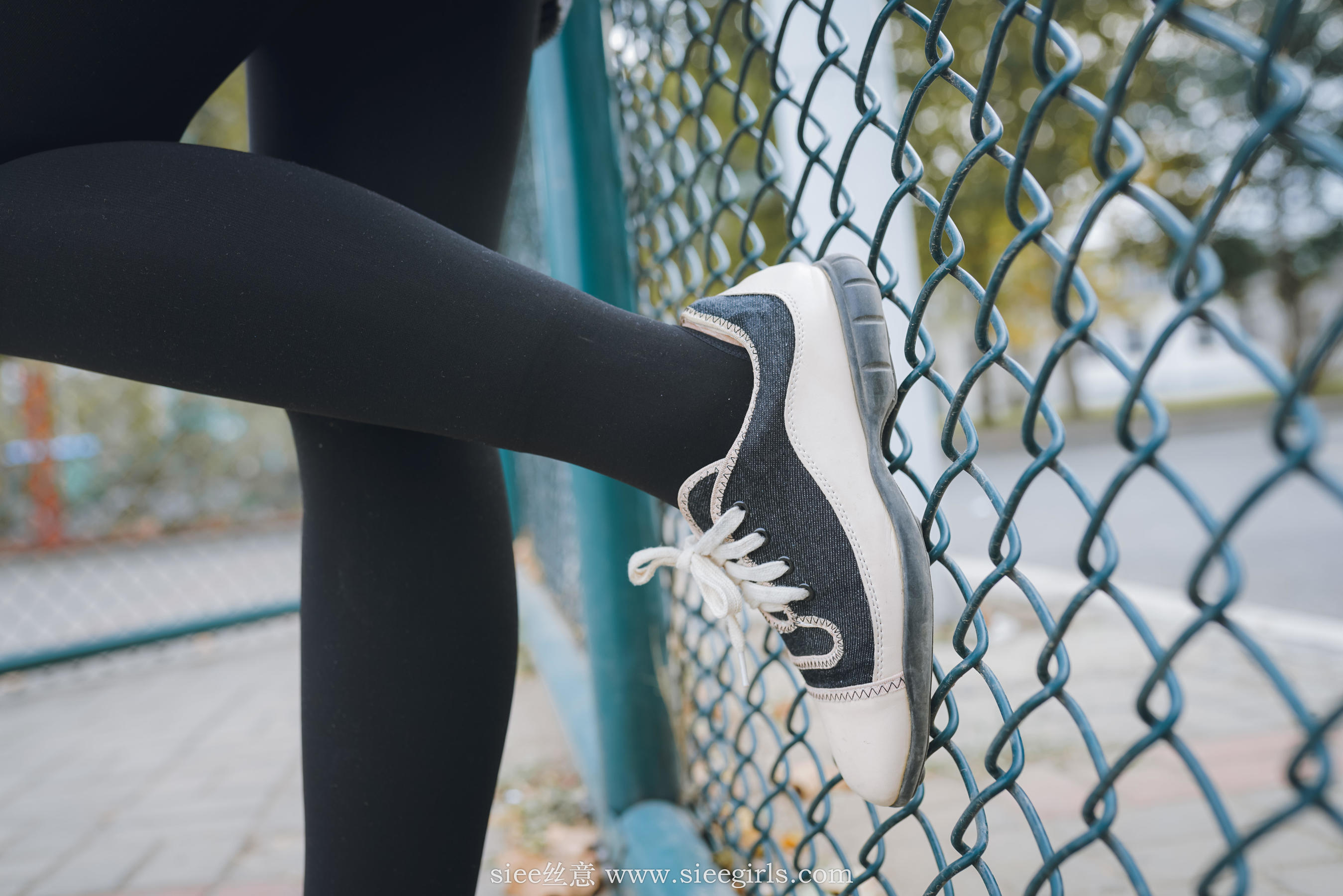 Si Yi Siee The romantic sisters of the bear