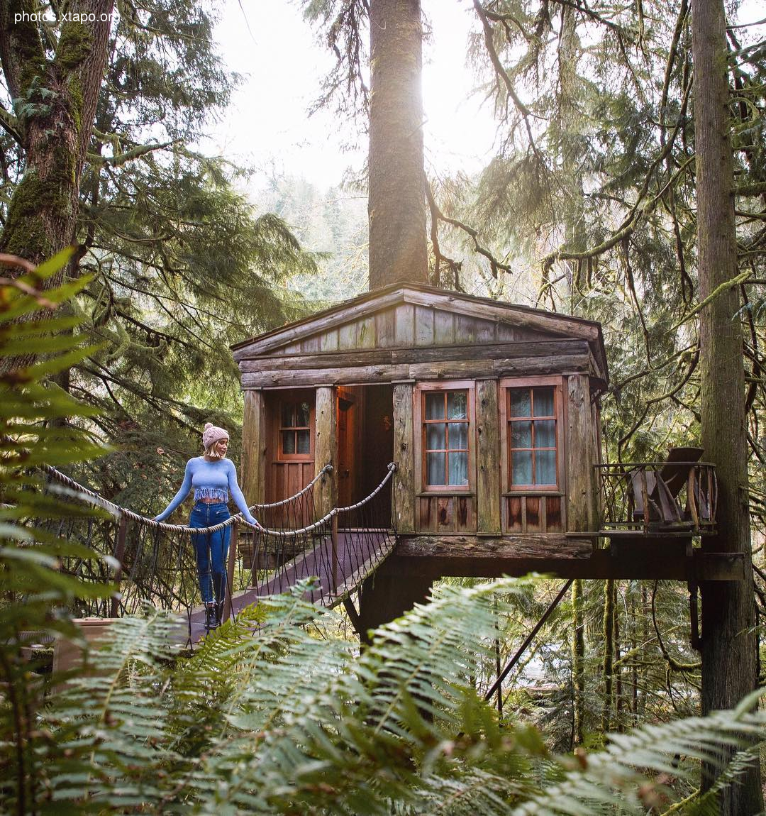 Building a wonderland of artisan cabins nestled in the PNW rainforest by Jacob Witzling & Sara Underwood