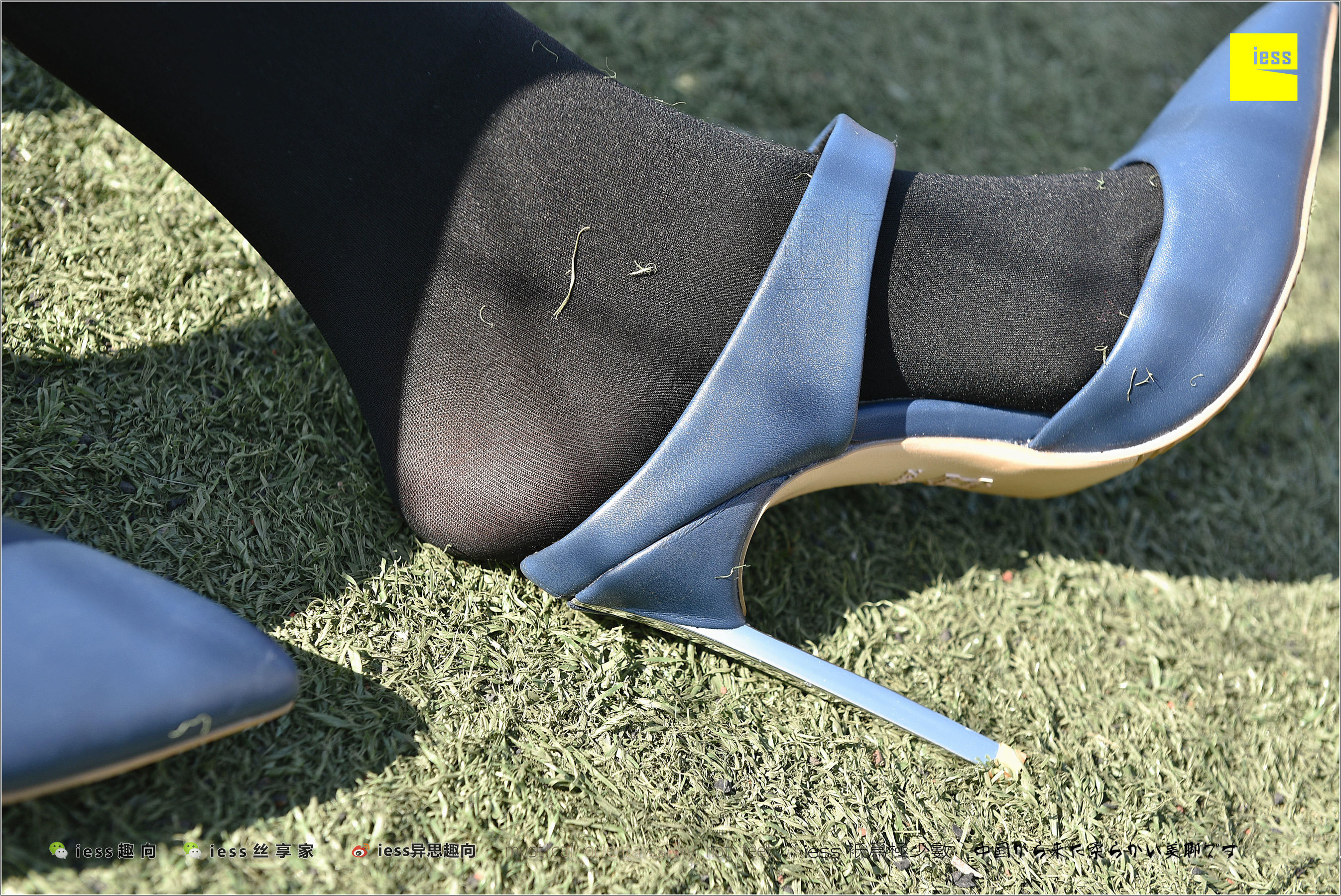 Silk Foot Bento 182 The Thick Black Silk Temptation of Thick Black Silk