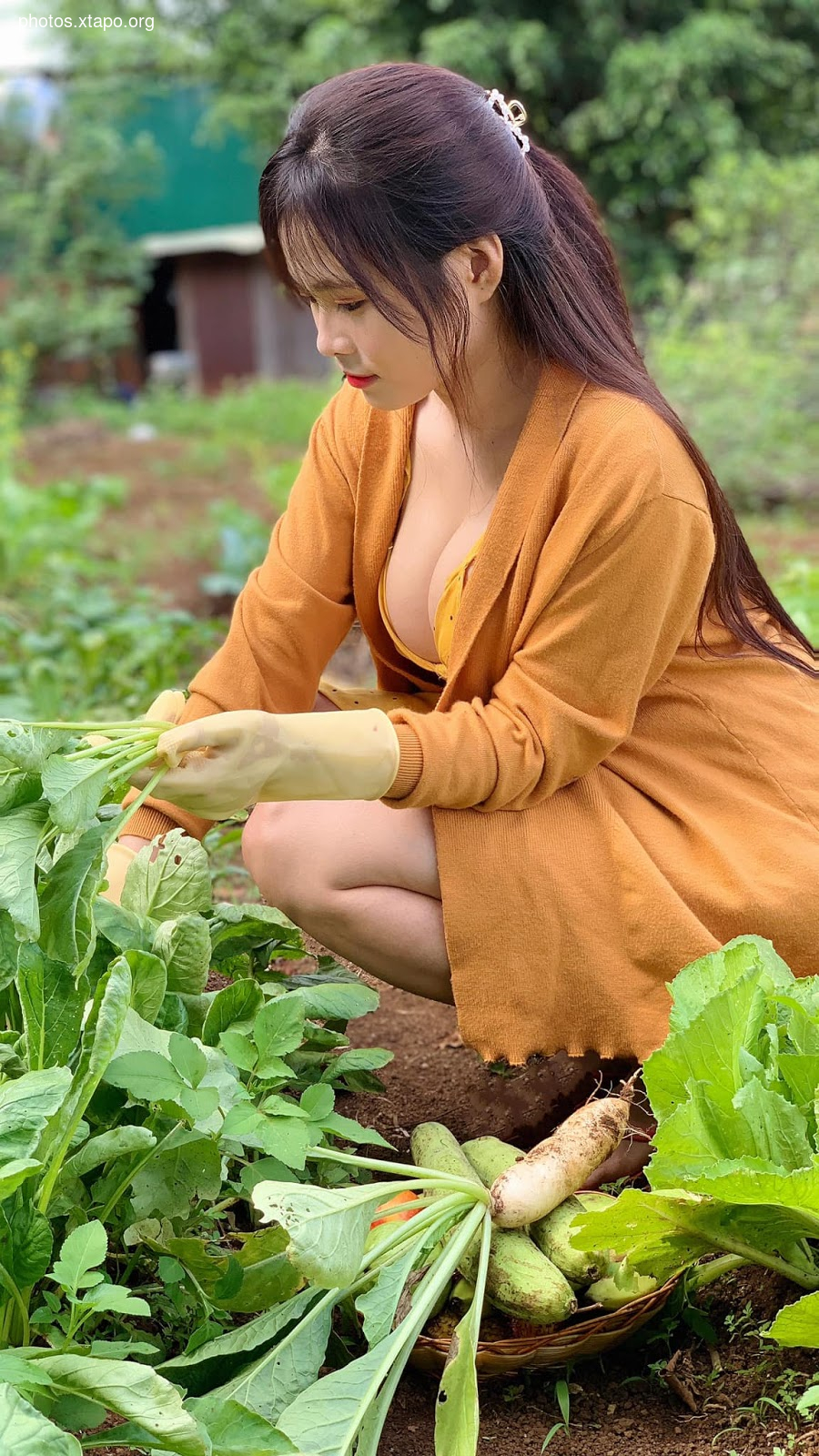 Nguyen Thi Hang Phuong