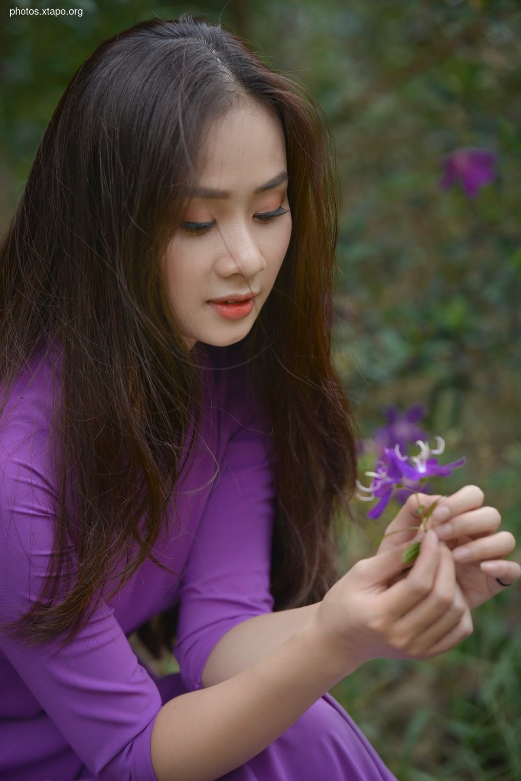 the most beautiful wild forest of purple flowers The most love story