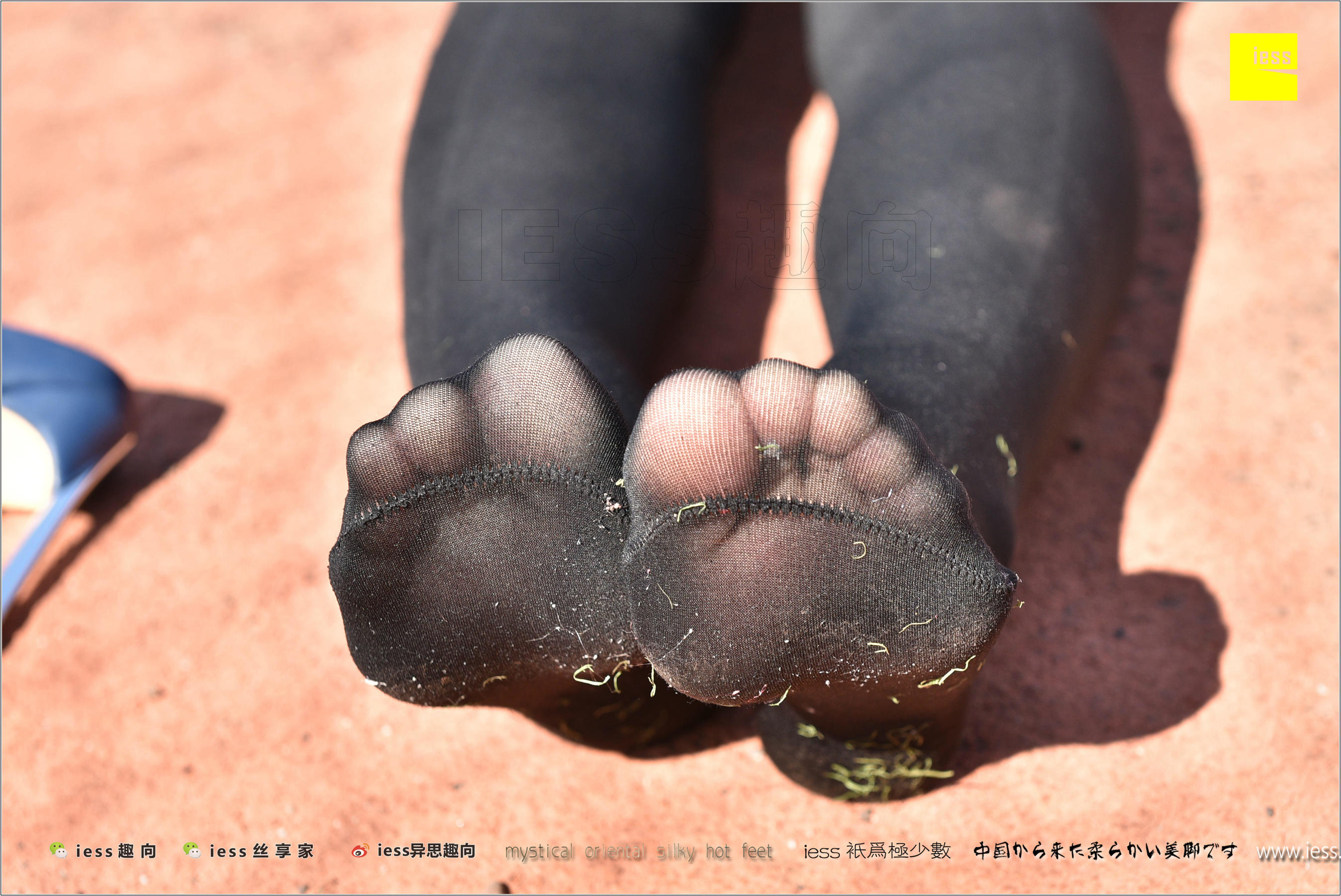 Silk Foot Bento 182 The Thick Black Silk Temptation of Thick Black Silk