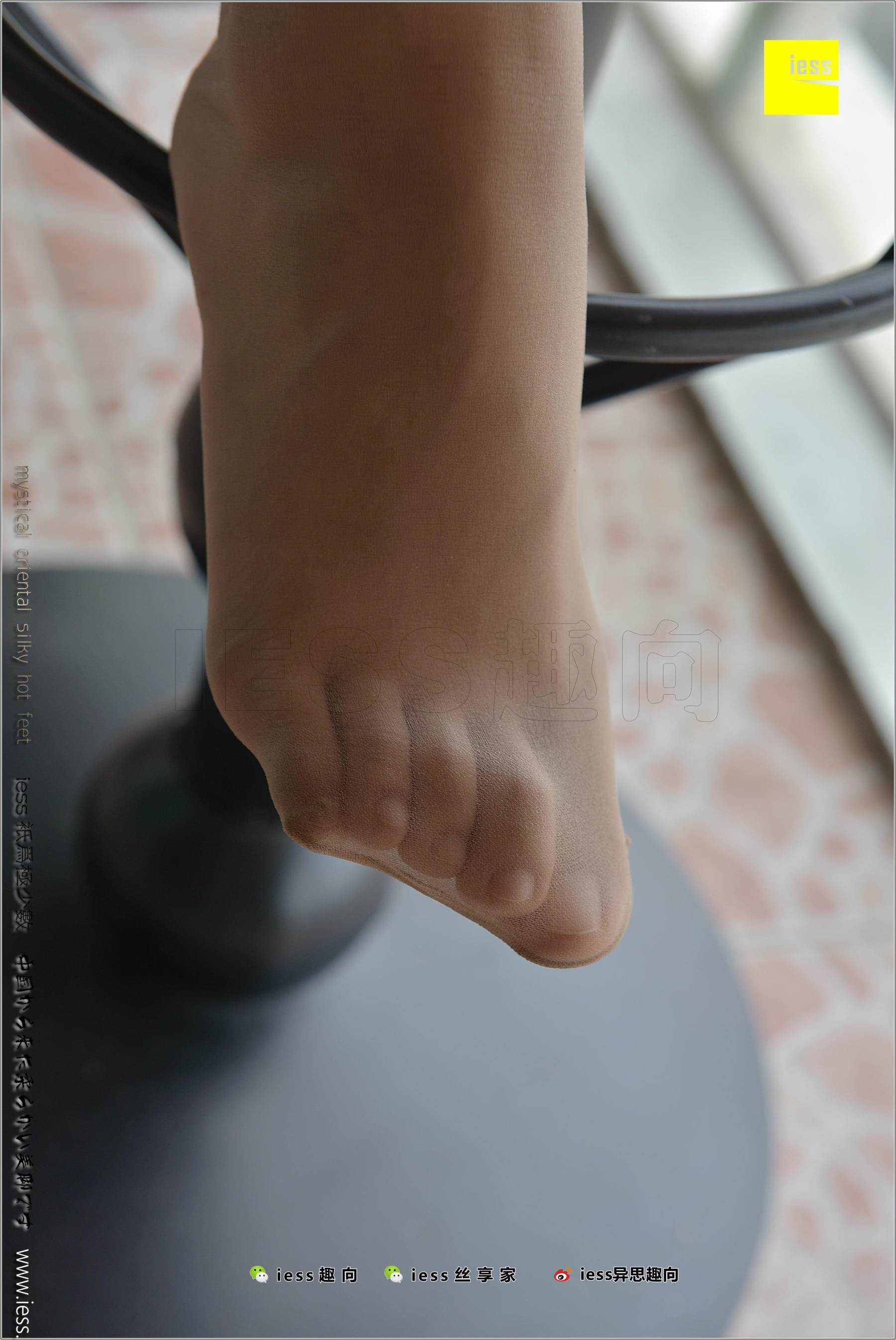 184 Zhang Foot Bento Zhang Xinyue's Contentive Frequency Music IESS Thoughts and Interesting