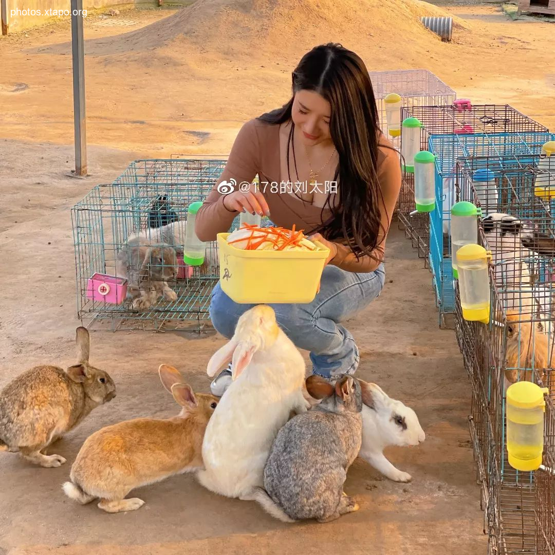 Liu tai yang Liu Taiyang,