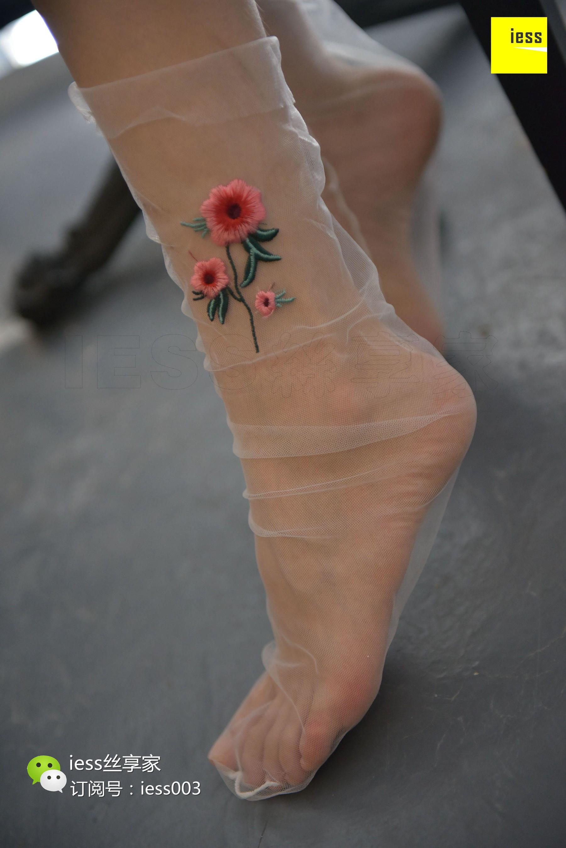 Silkxiang Home 050 Jiajia Jiajia Jiaye IESS is thinking about it