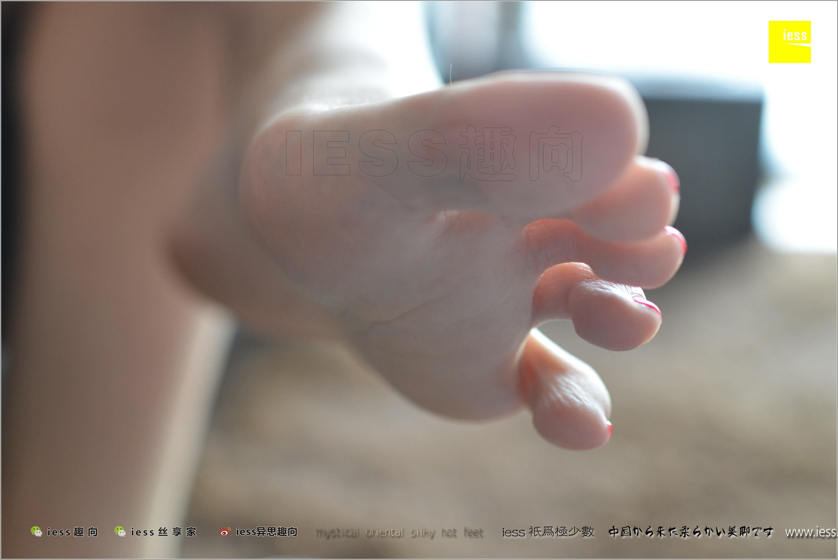 Wife Fangfang The Miss of the Wife of Beautiful Football Different Thoughts to IESS Silk Foot Bento 201